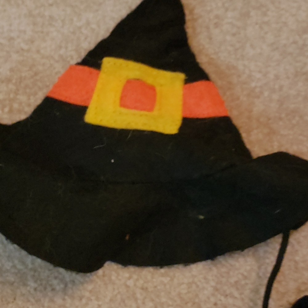 Witch dog costume - Picture 3 of 4